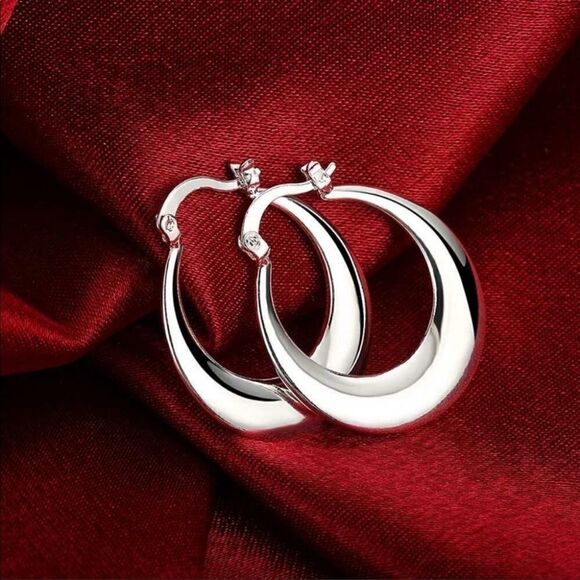 ✨NEW Silver Crescent Hoop Earrings - Picture 1 of 6